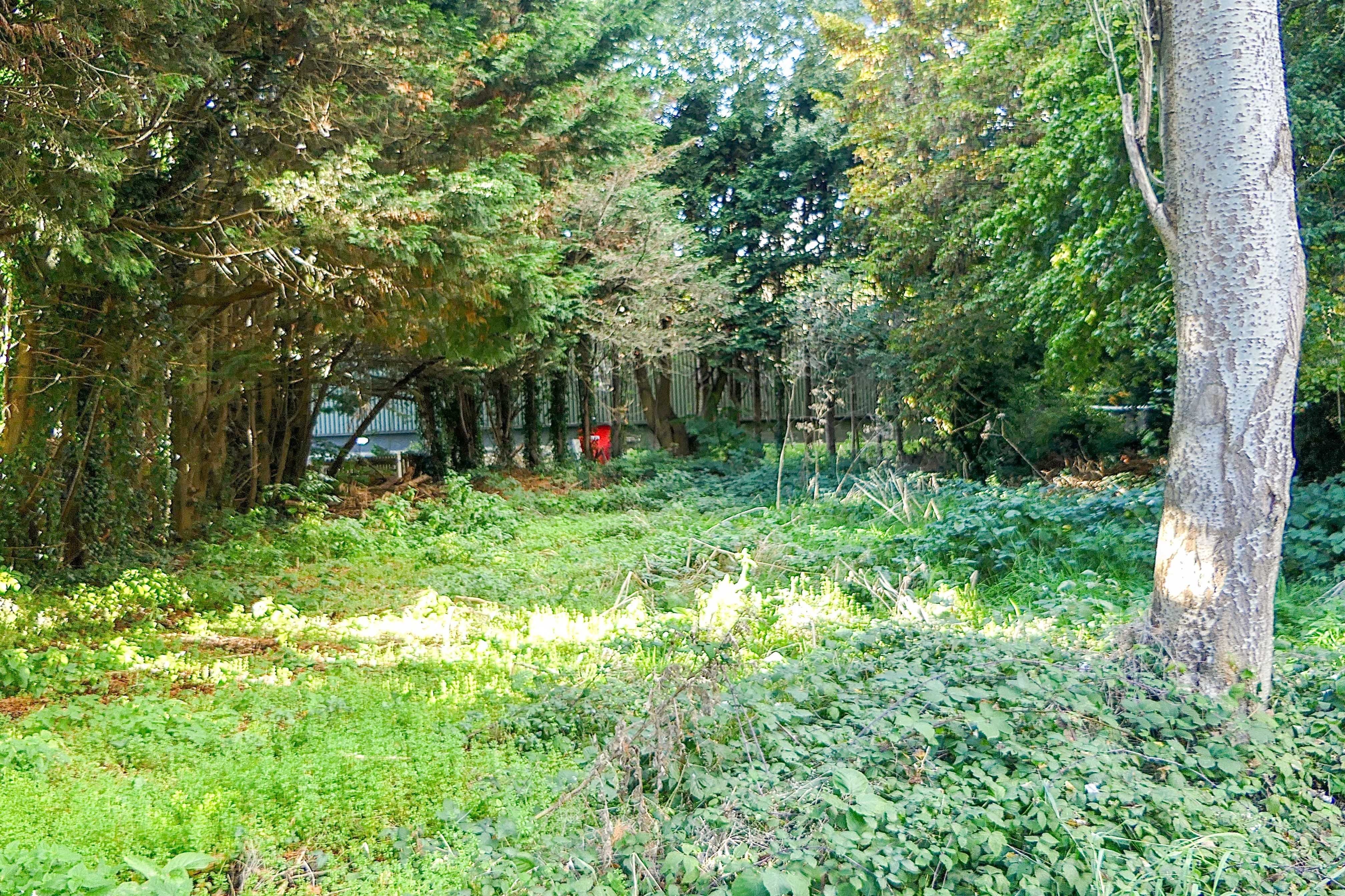 Land adjoining 1 Yard Mead, Egham, TW20 0AB