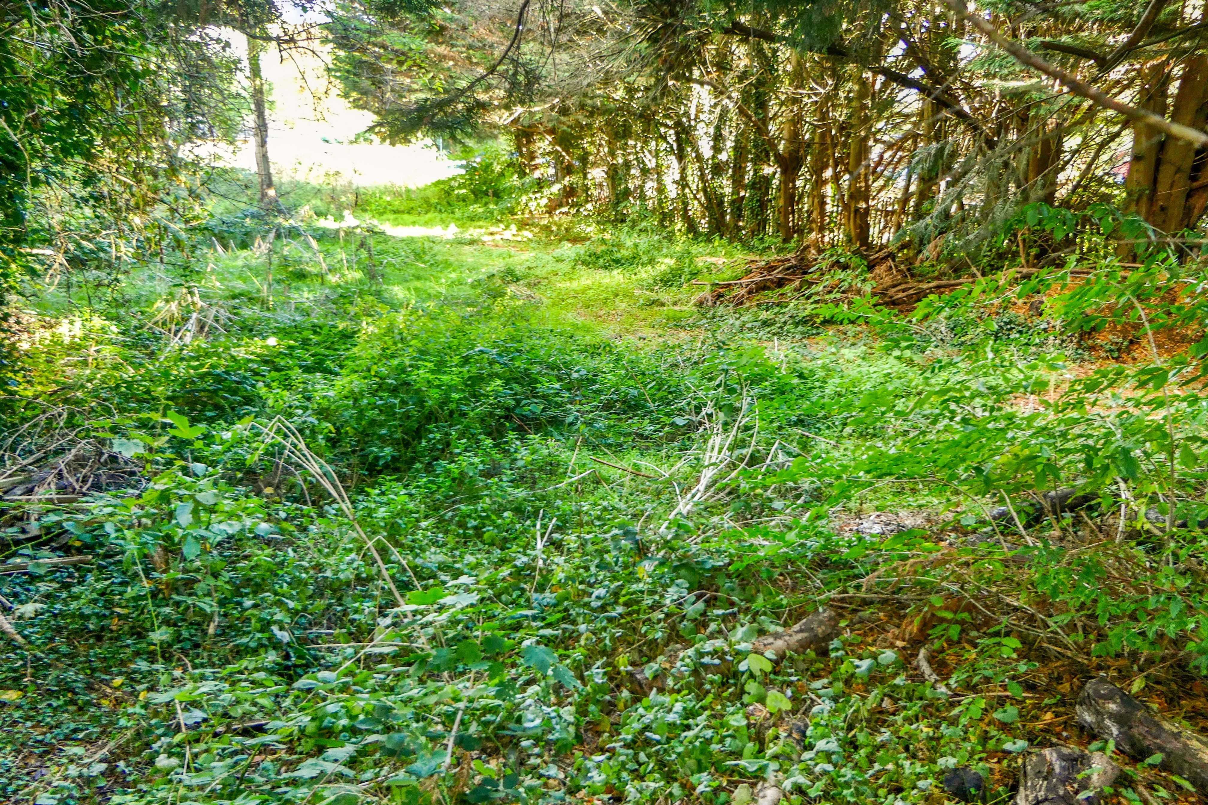 Land adjoining 1 Yard Mead, Egham, TW20 0AB