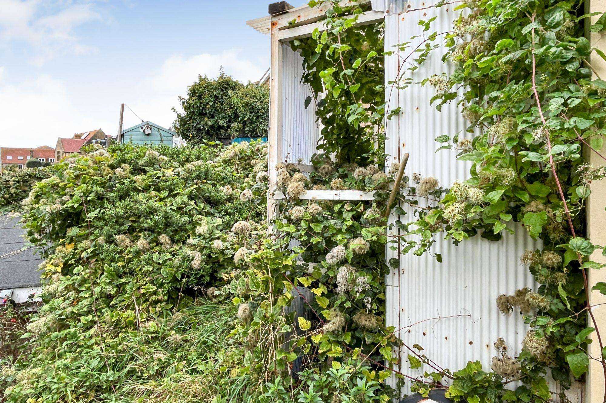 20 Clarence Road, Ventnor, Isle Of Wight, PO38 1NE