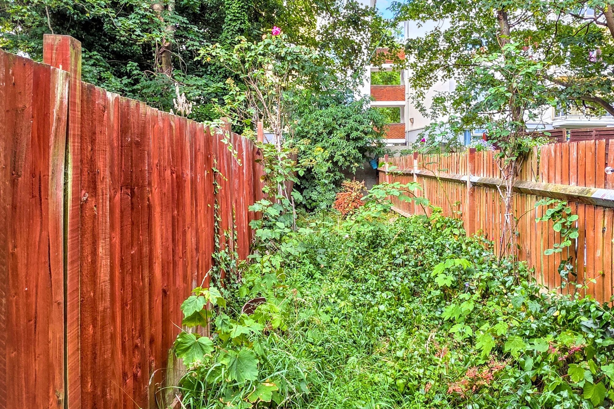 79a Drayton Road, Willesden, London, NW10 4DG