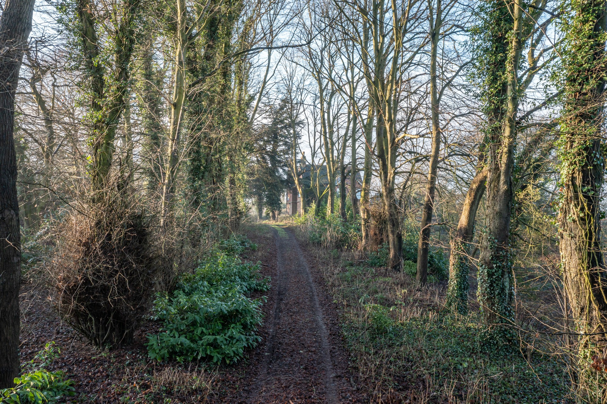 Highfield House, Station Road, Ibstock, Leicestershire LE67 6JJ
