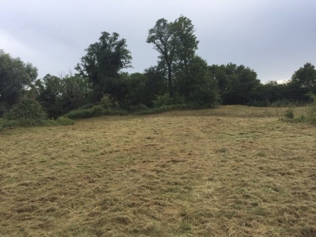 Grazing land at Spaldwick Road, Stow Longa, Huntingdon, Cambridgeshire PE28 0TL 10