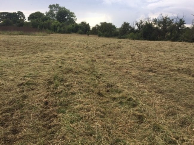 Grazing land at Spaldwick Road, Stow Longa, Huntingdon, Cambridgeshire PE28 0TL 10
