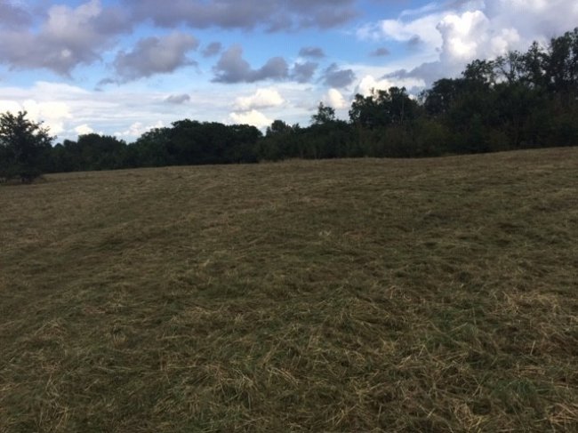 Grazing land at Spaldwick Road, Stow Longa, Huntingdon, Cambridgeshire PE28 0TL 10