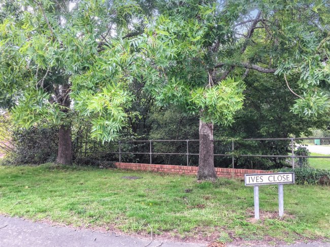 Pond Lying To The West Of Moulsham Lane, Yateley, Hampshire GU47 7RD 8