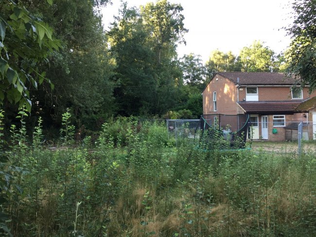 Garden Land site adjacent to 1 Canes Lane, Lindford, near Bordon, Hampshire GU35 0RP 7