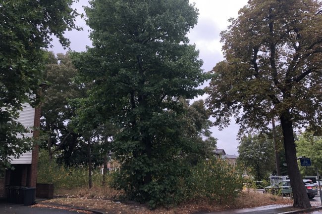 Land Adjacent to 37- 45 Oaklands Road, Bromley, London BR1 3UD 3