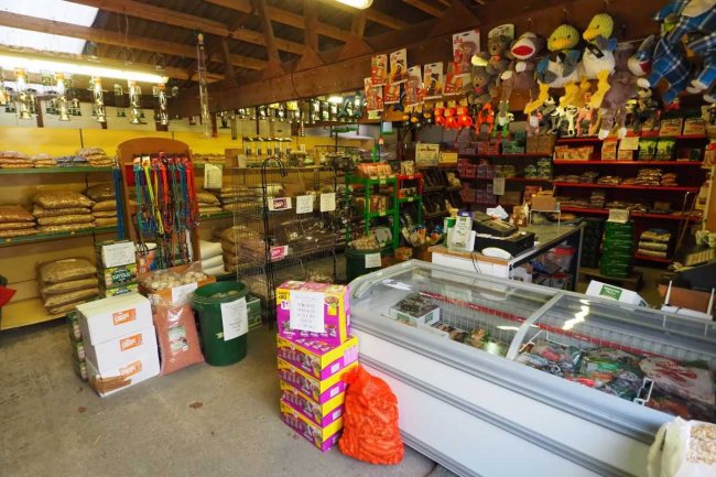 Kings Farm, Dorking Road, Kingsfold, RH12 3SA  3