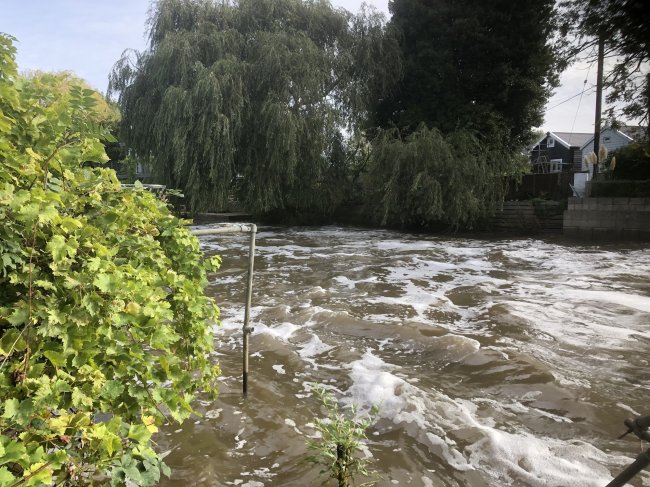 Riverholme, The Creek, Sunbury on Thames TW16 6BY 7