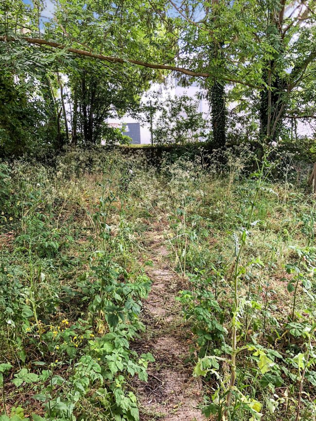 719 Ordnance Road, Tidworth, Hampshire SP9 7QB 4