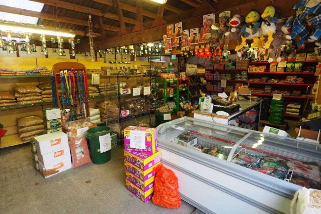 Kings Farm, Dorking Road, Kingsfold, RH12 3SA  5