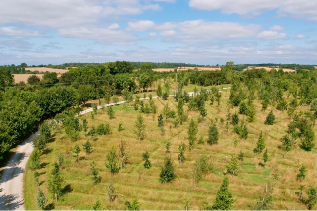 Olney Green Burial Ground, Yardley Road, Olney, MK46 5EH 
 1