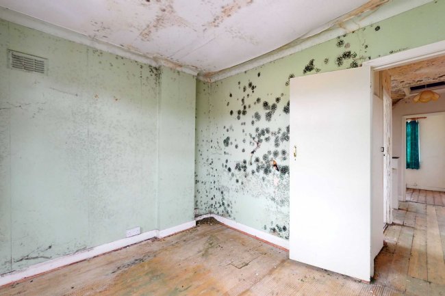 49 Queens Road, Sheen, London, SW14 8PH 2