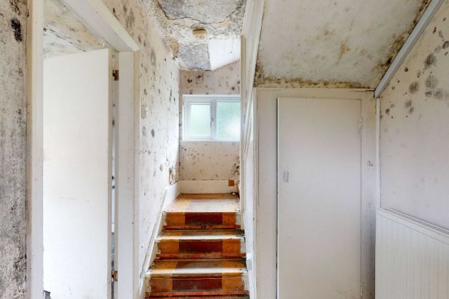 49 Queens Road, Sheen, London, SW14 8PH 2