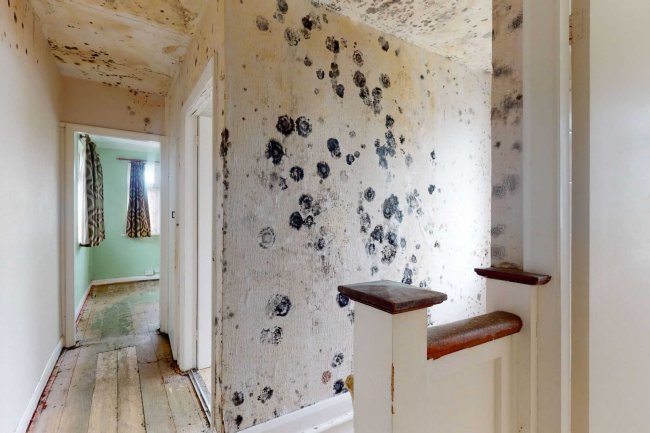 49 Queens Road, Sheen, London, SW14 8PH 2