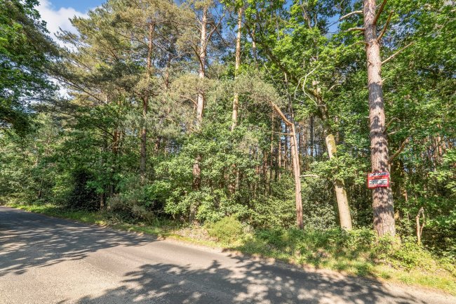 Land on the east side of Tilford Road, Rushmoor, Hindhead, GU10 2EP 2