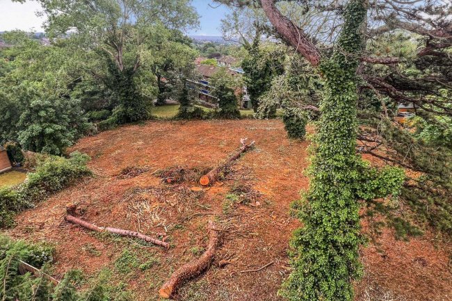 107 and land rear of 105 Honor Oak Park, Honor Oak, London SE23 3LB 1