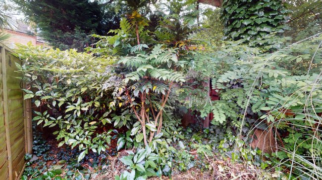 53 St. Margarets Road, Twickenham, TW1 2LL 5