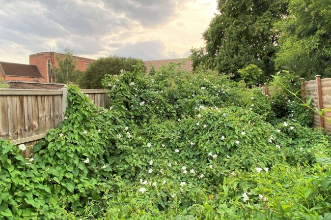 6 Cleveland Rd, New Malden, Surrey, KT3 3QQ 5