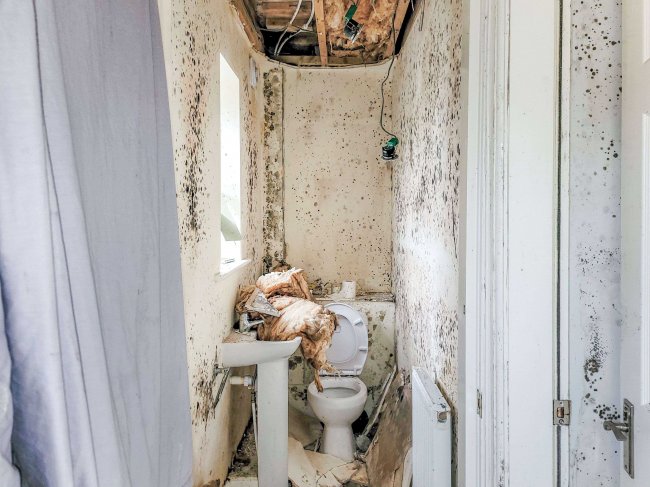 6 Primrose Road, Barrow-in-Furness, Cumbria, LA14 2UJ 7