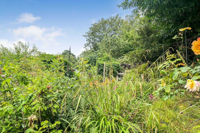 2 Homeway Cottages, Eling Hill, Southampton, Hampshire, SO40 9JQ 6