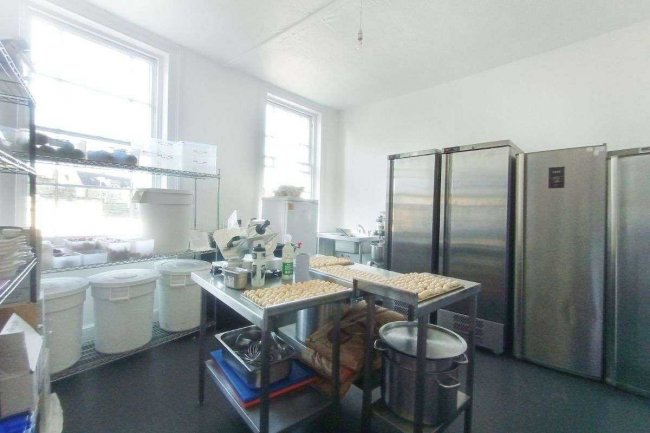 The Baring Arms, 55 Baring Street, London N1 3DS  10