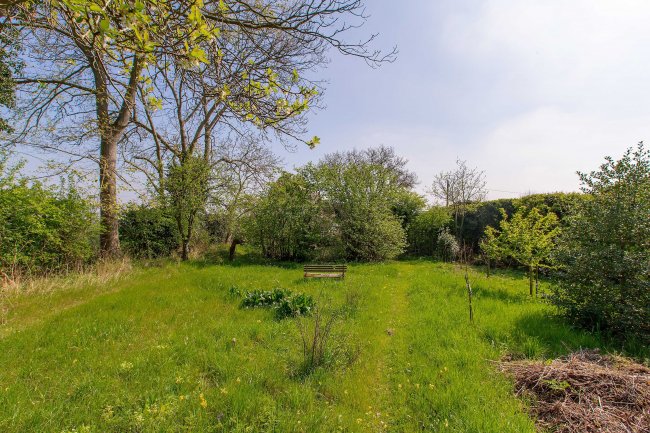 Honey Hill Cottage, Pettitts Lane, Dry Drayton, Cambridge, CB23 8BT 6