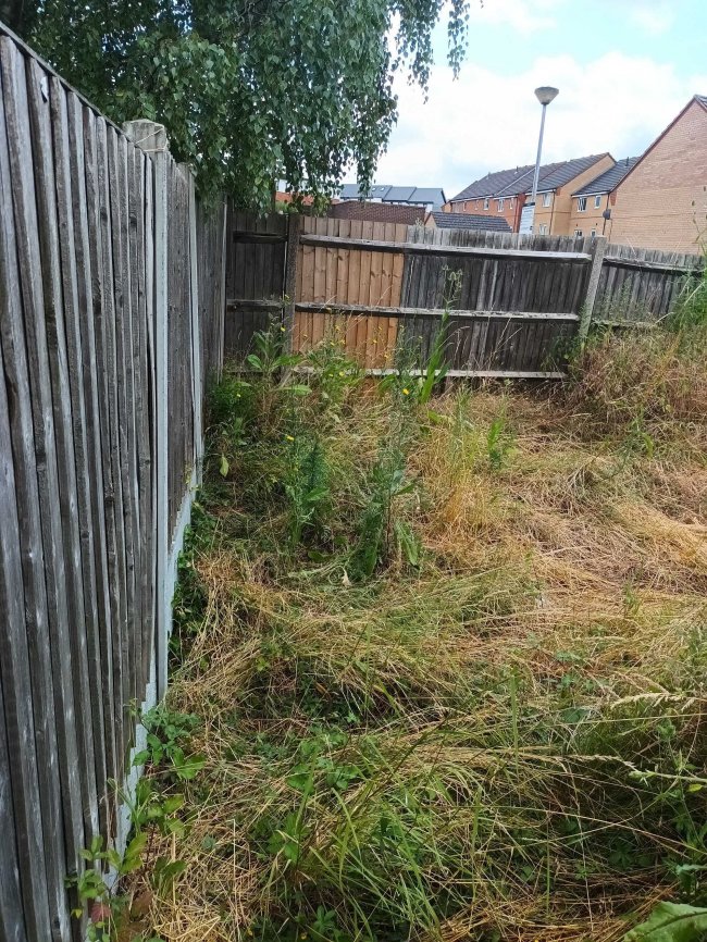 6 Whitmore Avenue, Romford, Essex, RM3 0WY 8