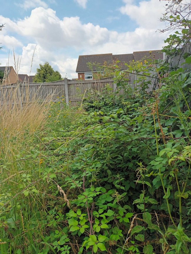 6 Whitmore Avenue, Romford, Essex, RM3 0WY 8