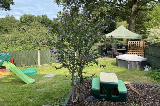 1 Crosby Gardens, Yateley, Hampshire, GU46 7RT 7