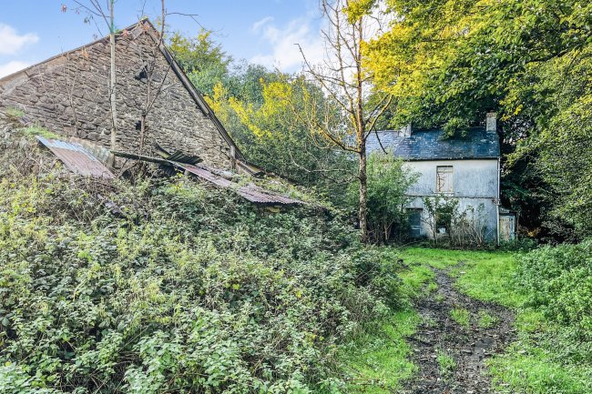 Tynywaun, Ffarmers, Llanwrda, SA19 8EX 5