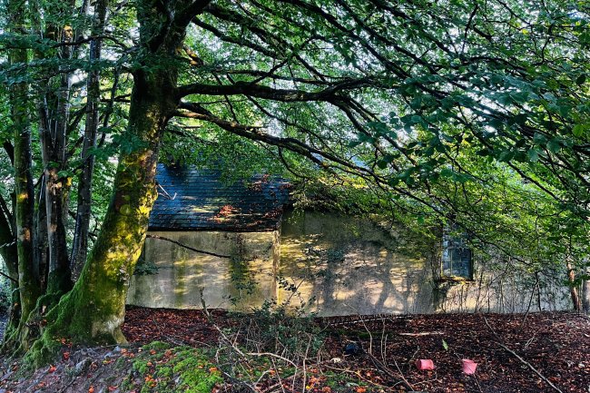 Tynywaun, Ffarmers, Llanwrda, SA19 8EX 5