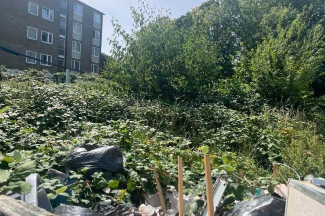 Land on the former site of the Grovebury Hall, Grovebury Road, Abbey Wood, London SE2 9YA 9