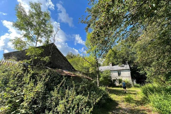 Tynywaun, Ffarmers, Llanwrda, SA19 8EX 5