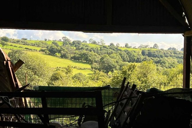 Tynywaun, Ffarmers, Llanwrda, SA19 8EX 5