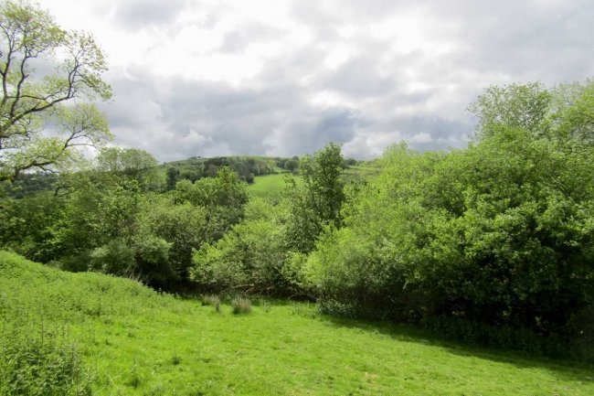 Tynywaun, Ffarmers, Llanwrda, SA19 8EX 5