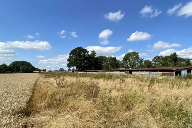 Land lying to the South East of Cherry Green Lane, Westmill, Buntingford, SG9 9LD 9