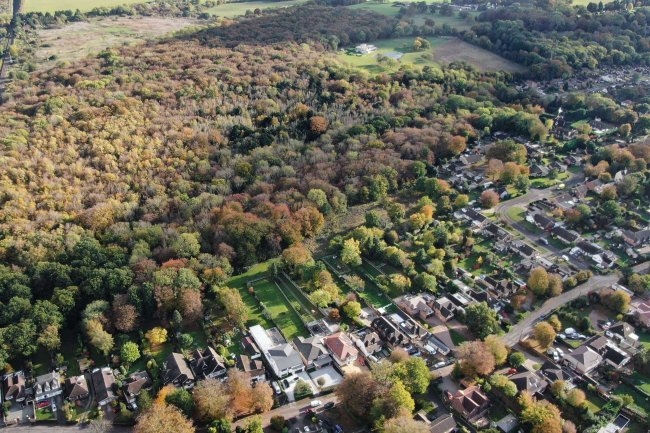 Hartley Woods and Fields, Hartley, Kent DA3 8AB 4