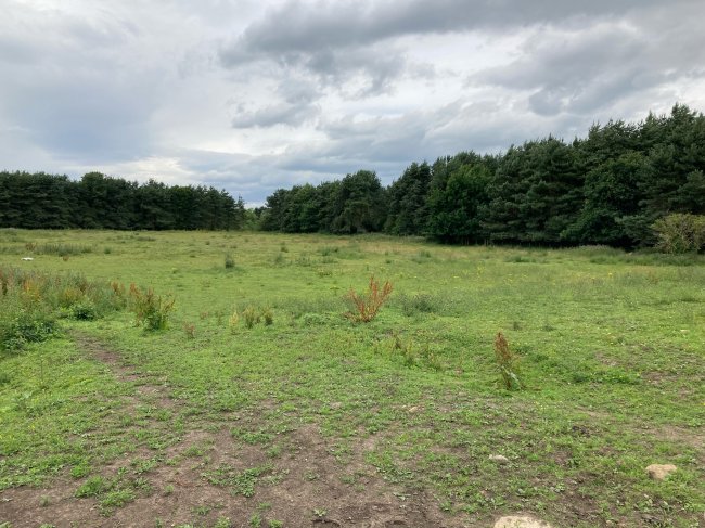 3.63 acres of grassland at Eldon, Shildon, DL14 8XA 4