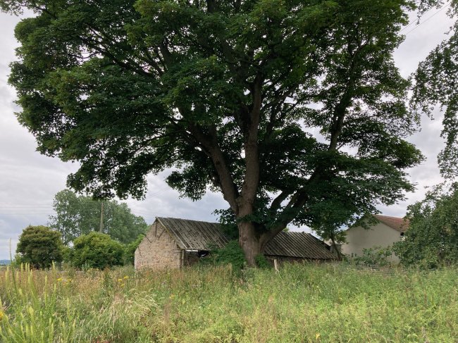 0.32 acres of land and buildings adjoining Old Eldon Cottages, Old Eldon, Shildon, DL4 2QT 5