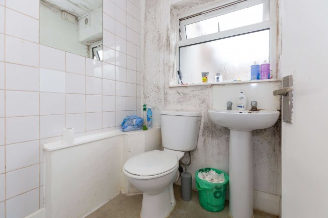 41 Oak Grove, Cricklewood, London, NW2 3LS 6