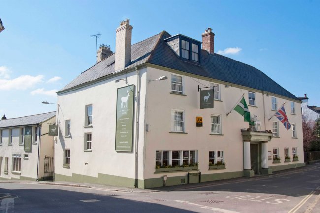 The White Hart Hotel, The Square, Moretonhampstead, Dartmoor, TQ13 8NF 6