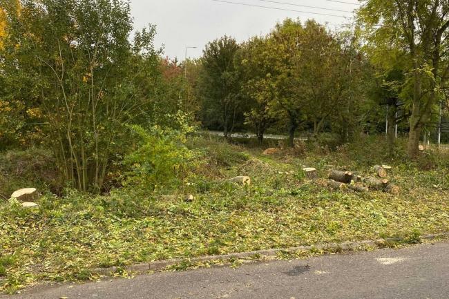 Land to the west side of A161, Crowle, Scunthorpe, DN17 4DD 6