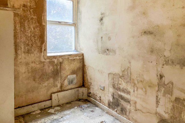 1 & 3 Market Place, Workington, CA14 4AX 10