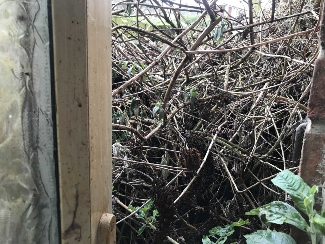 39 Harwich Road, Colchester, Essex, CO4 3BP 3