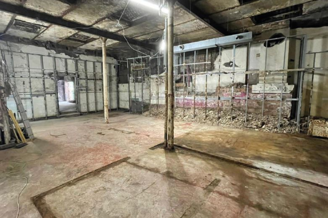 14 Hillfoot Street & 11 Whitehill Street Lane, Glasgow, G31 2LF 3