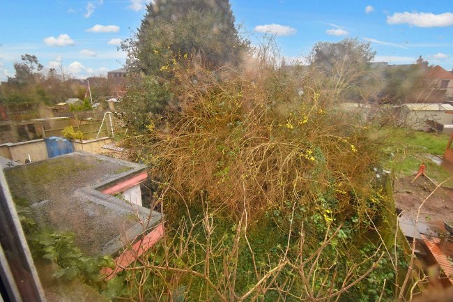 12 Avenue South, Earl Shilton, Leicester, LE9 7AB 7