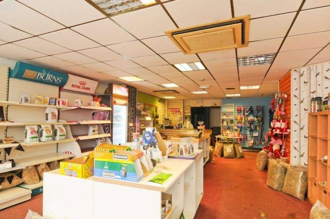 15 High Street, Ventnor, Isle of Wight PO38 1RZ 5