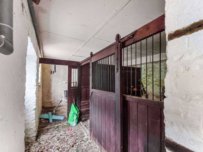 Hamlet Stables, Hamlet House, Chetnole, Sherborne DT9 6NY 7