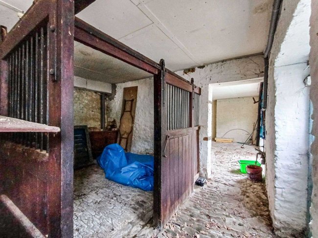 Hamlet Stables, Hamlet House, Chetnole, Sherborne DT9 6NY 7